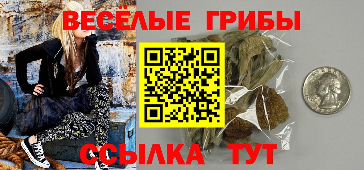 Галлюциногенные грибы прущие грибы Будённовск
