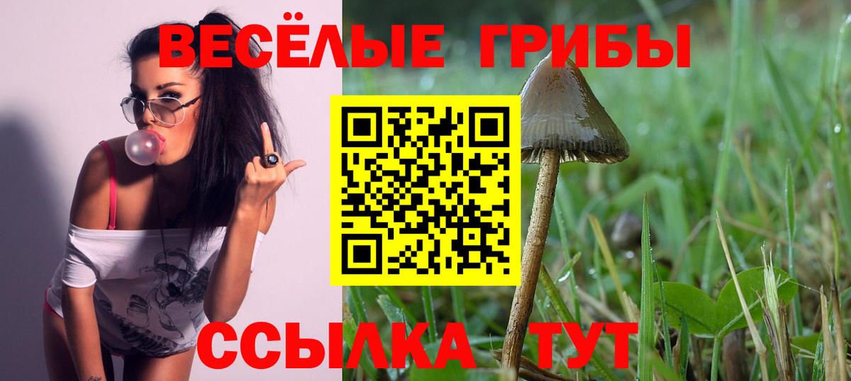 Псилоцибиновые грибы Cubensis  Галлюциногенные грибы прущие грибы  Будённовск  Вход с VPN 